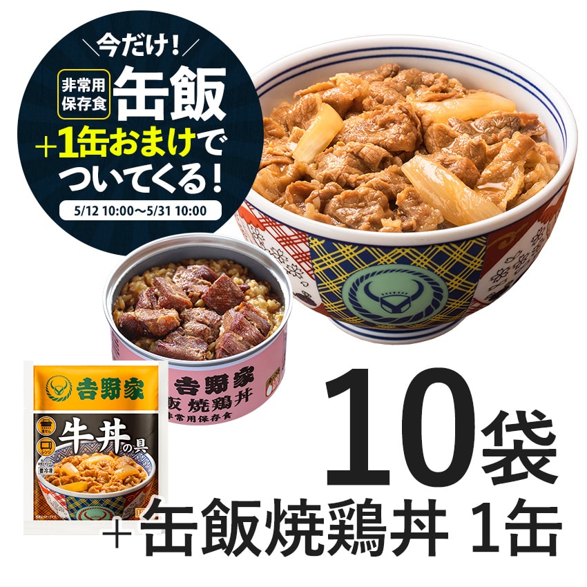 牛丼の具10袋【冷凍】YK